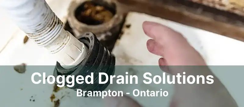 Clogged Drain Solutions Brampton - Ontario