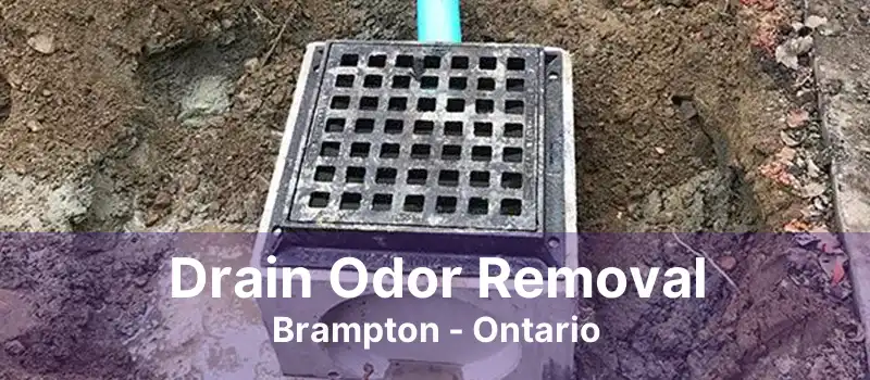 Drain Odor Removal Brampton - Ontario