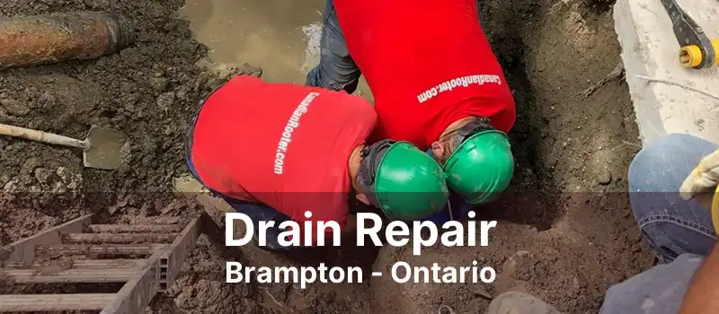 Drain Repair Brampton - Ontario